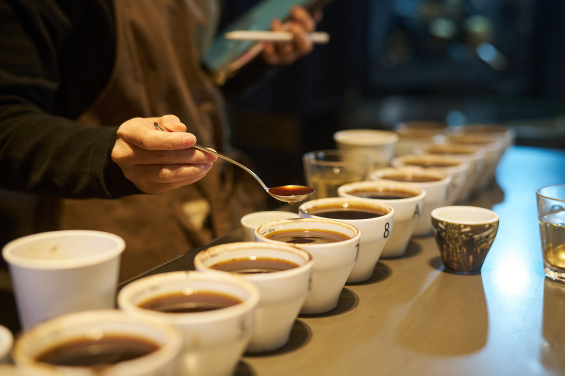 ドリップコーヒーのおすすめガイド!産地や焙煎、コスパで選ぶポイントなど