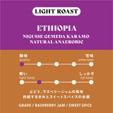 <8/26より順次発送>【浅煎り】エチオピア／Nigusse Gemeda Karamo Natural Anaerobic