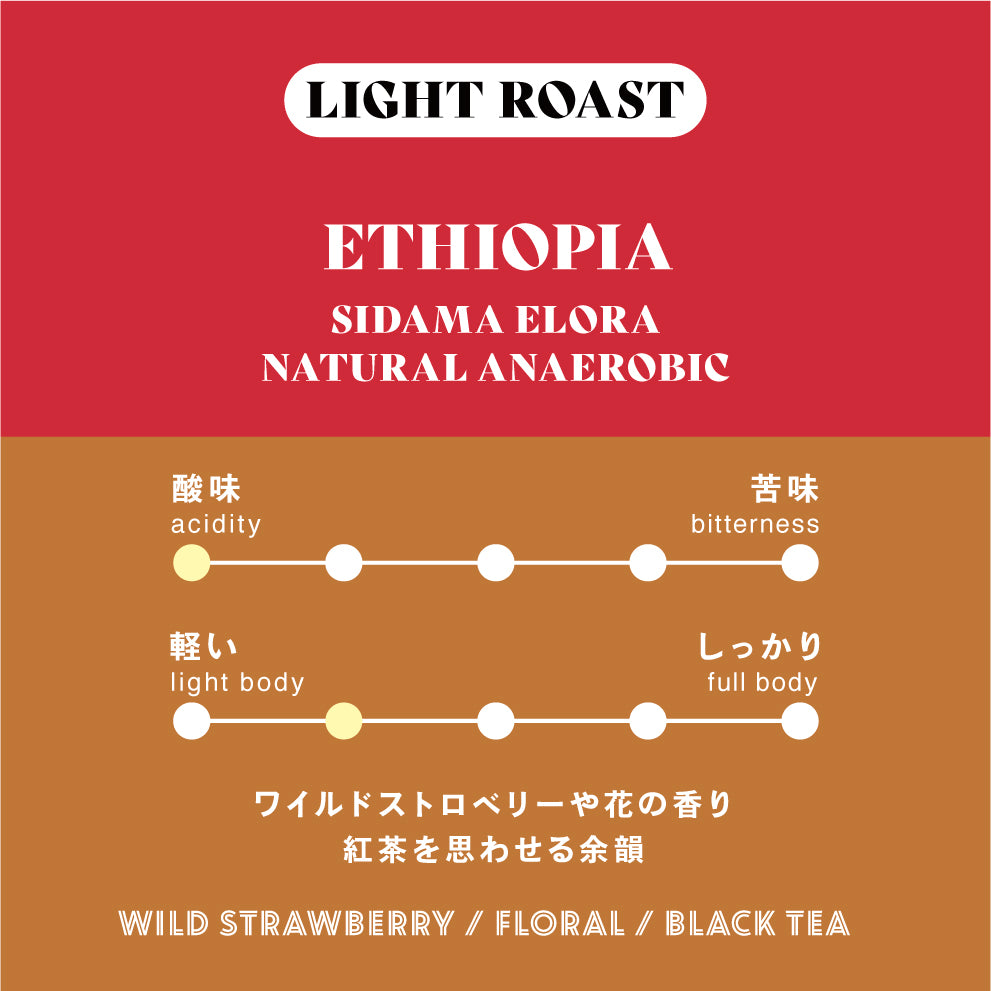 【浅煎り】エチオピア∕ Sidama Elora Natural Anaerobic