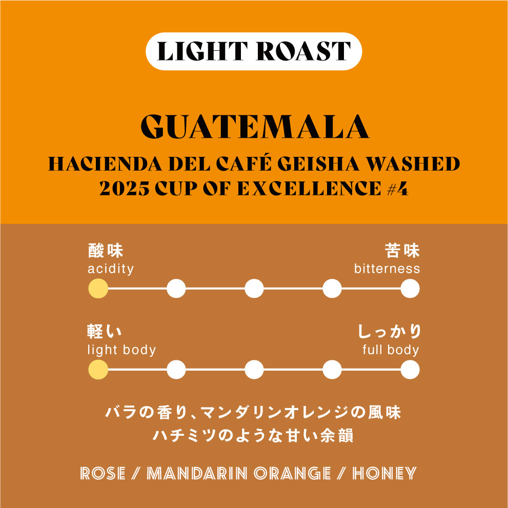 【浅煎り】グアテマラ ∕ Hacienda Del Café Geisha Washed 2025COE#4