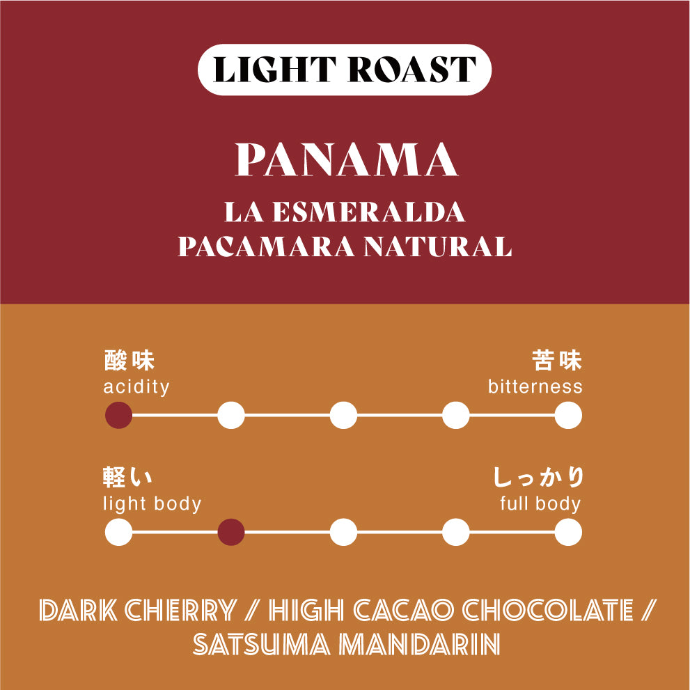 【浅煎り】パナマ LA ESMERALDA Pacamara Anaerobic Natural